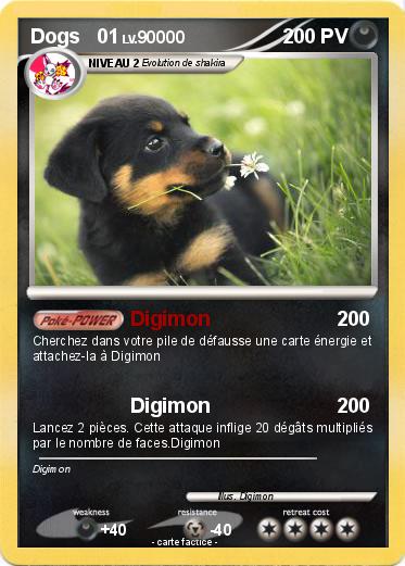 Pokemon Dogs   01