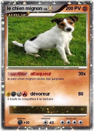 Pokemon le chien mignon
