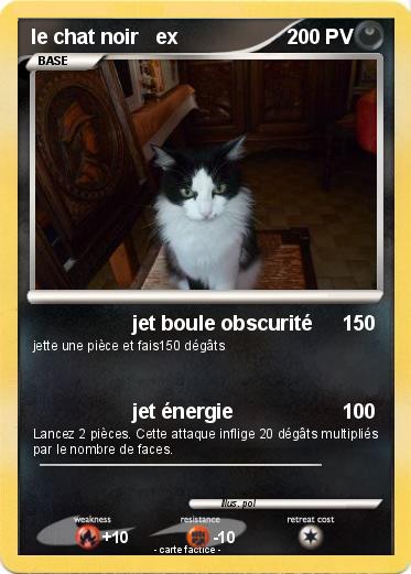 Pokemon le chat noir   ex