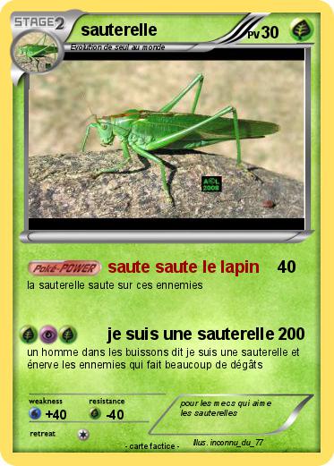 Pokemon sauterelle