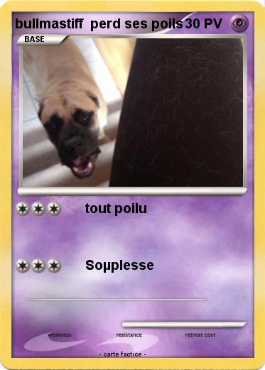 Pokemon bullmastiff  perd ses poils