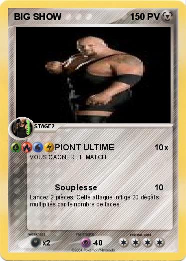 Pokemon BIG SHOW