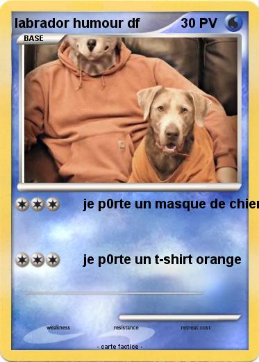 Pokemon labrador humour df