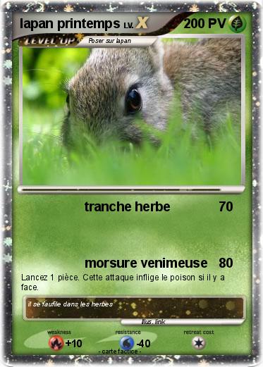 Pokemon lapan printemps