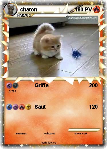 Pokemon chaton