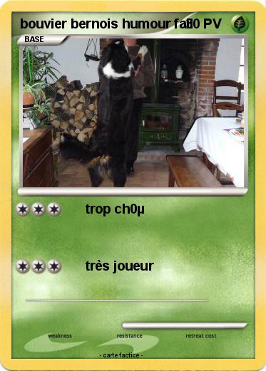 Pokemon bouvier bernois humour fail