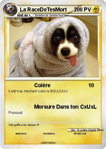 Pokemon La RaceDeTesMort