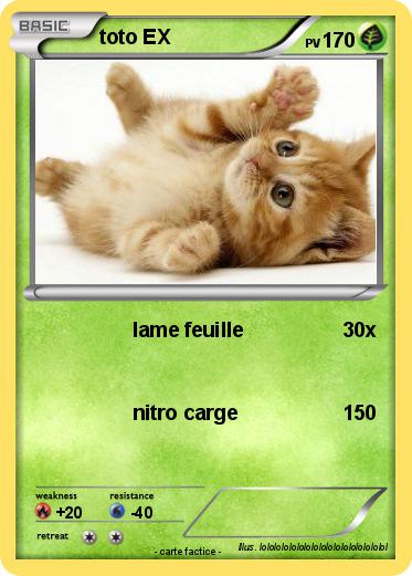Pokemon toto EX