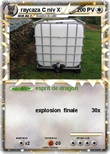 Pokemon raycaza C niv X