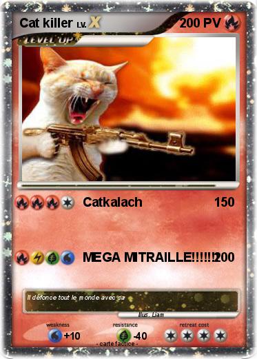 Pokemon Cat killer