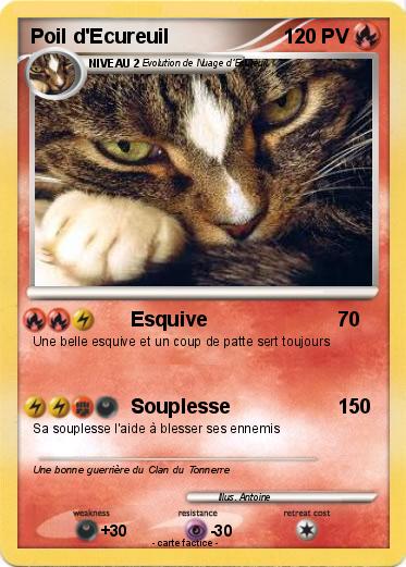 Pokemon Poil d'Ecureuil