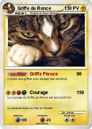 Pokemon Griffe de Ronce