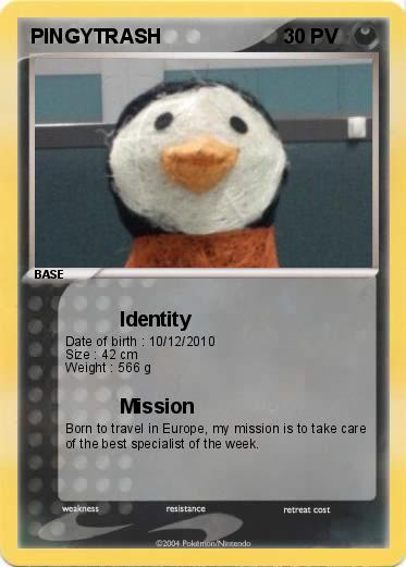 Pokemon PINGYTRASH
