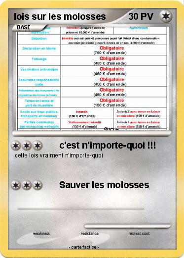 Pokemon lois sur les molosses
