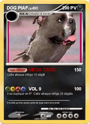 Pokemon DOG PIAF