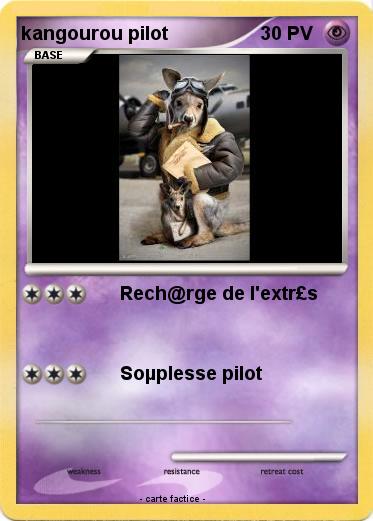 Pokemon kangourou pilot