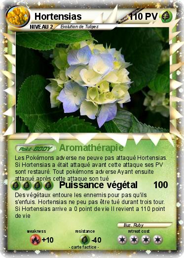 Pokemon Hortensias