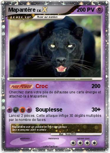 Pokemon Mapantère