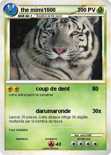 Pokemon the mimi1600