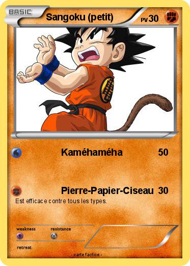 Pokemon Sangoku (petit)