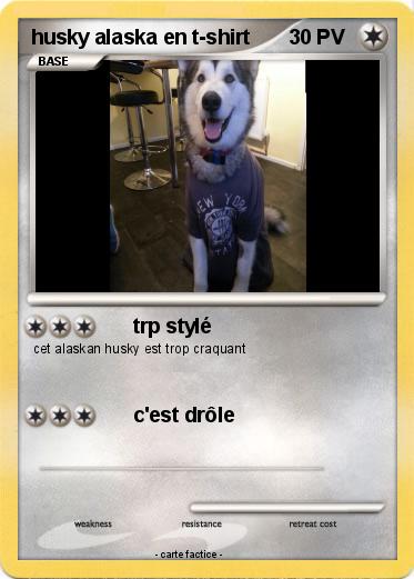 Pokemon husky alaska en t-shirt