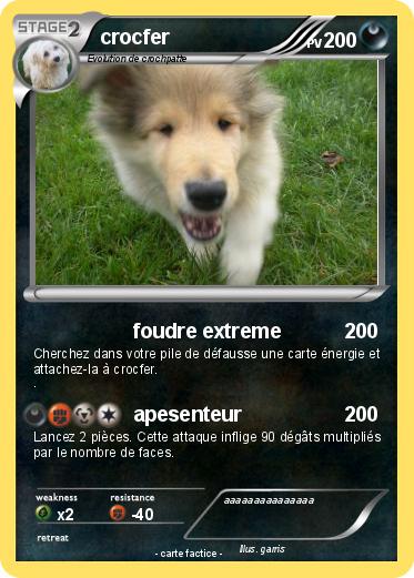 Pokemon crocfer