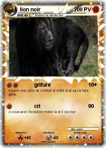 Pokemon lion noir