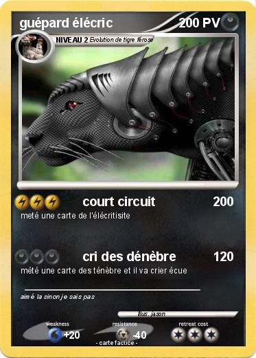 Pokemon guépard élécric