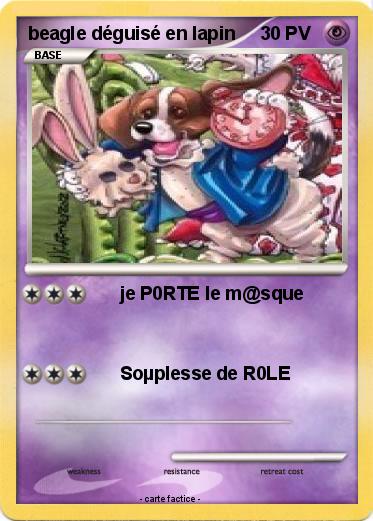 Pokemon beagle déguisé en lapin