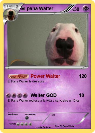 Pokemon El pana Walter