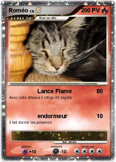 Pokemon Roméo