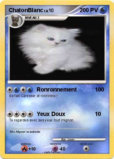 Pokemon ChatonBlanc