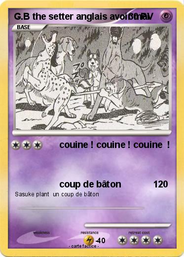 Pokemon G.B the setter anglais avoir mal