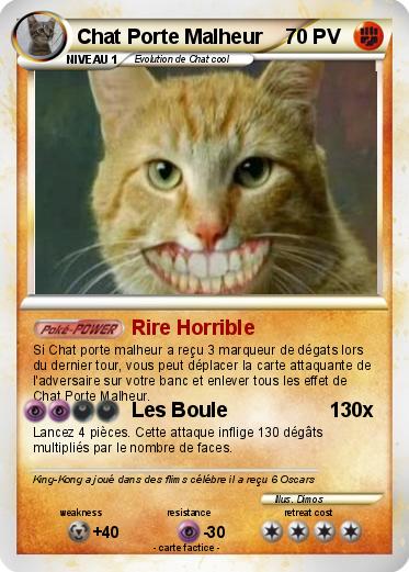 Pokemon Chat Porte Malheur