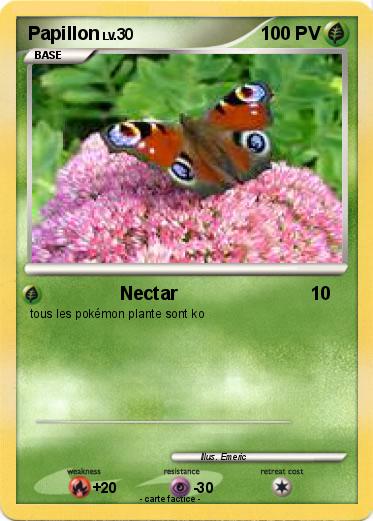 Pokemon Papillon