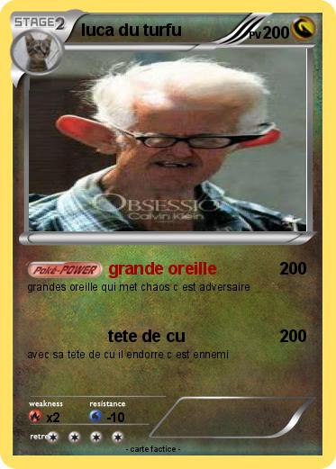 Pokemon luca du turfu