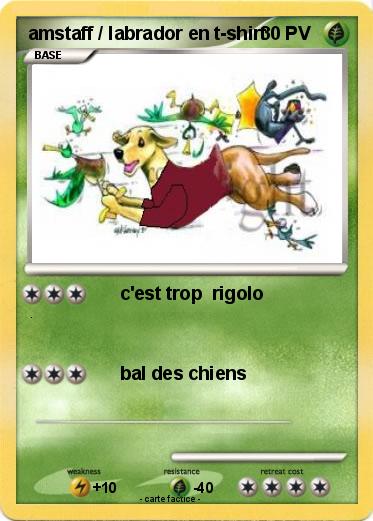 Pokemon amstaff / labrador en t-shirt