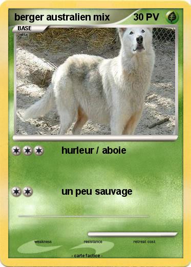 Pokemon berger australien mix