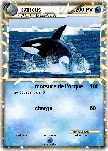 Pokemon patricus
