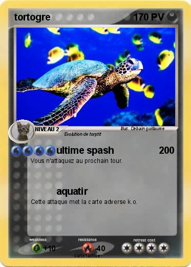 Pokemon tortogre