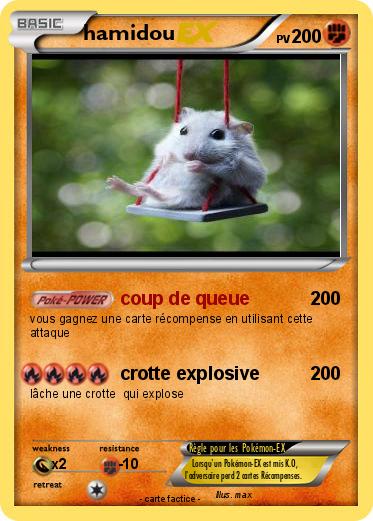 Pokemon hamidou