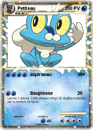 Pokemon Petiteau