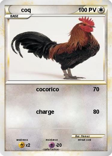 Pokemon coq