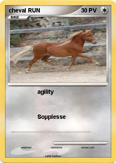 Pokemon cheval RUN