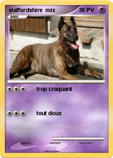 Pokemon staffordshire  mix