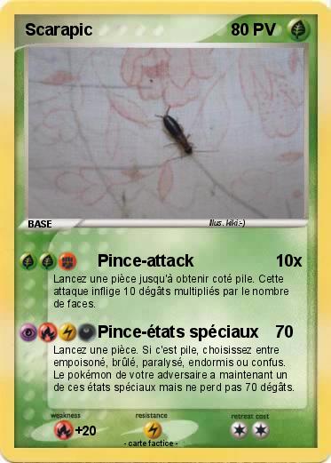 Pokemon Scarapic