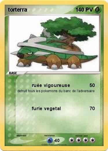 Pokemon torterra