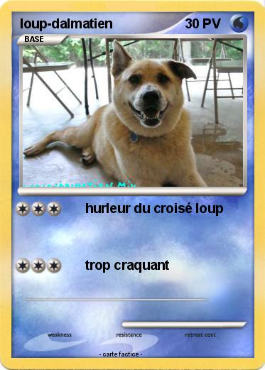 Pokemon loup-dalmatien
