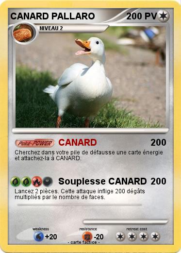 Pokemon CANARD PALLARO