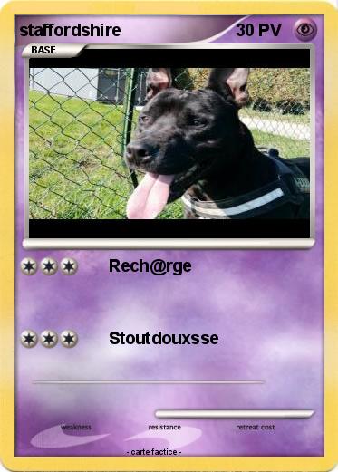 Pokemon staffordshire